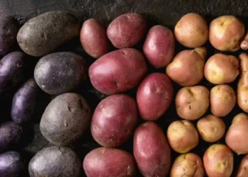 Под видом молдавского картофеля — импорт из Европы