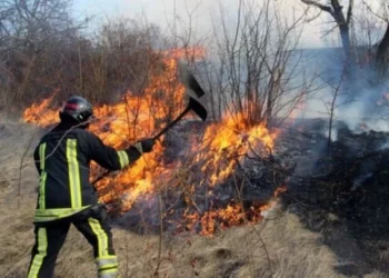 Alertă în raionul Cimișlia: pompierii au intervenit rapid pentru a opri un incendiu de vegetație
