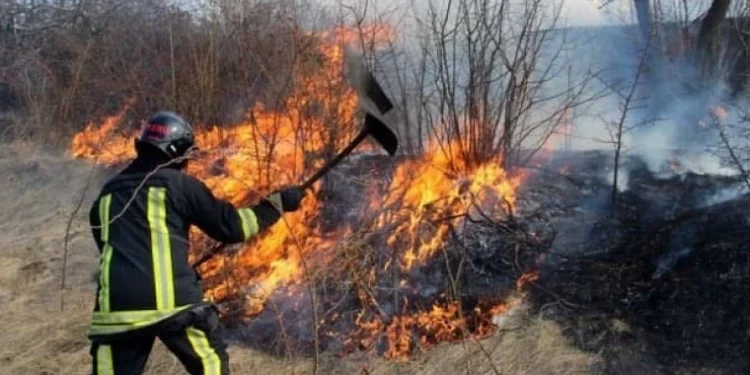 Alertă în raionul Cimișlia: pompierii au intervenit rapid pentru a opri un incendiu de vegetație