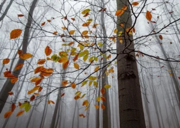 Zi senină și caldă: maxime de pînă la +28°C în sud