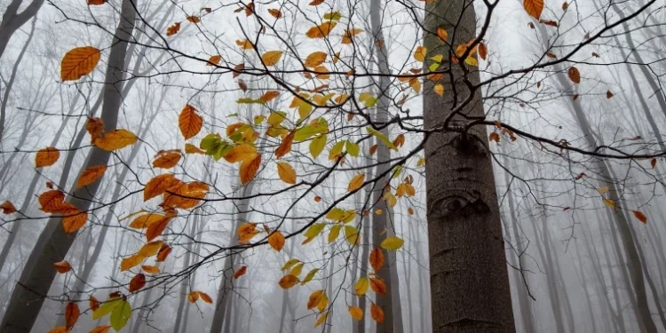 Zi senină și caldă: maxime de pînă la +28°C în sud