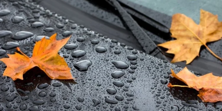 Прогноз погоды на 25 сентября