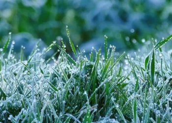 Cod Galben: Înghețuri prognozate între 27 și 29 septembrie