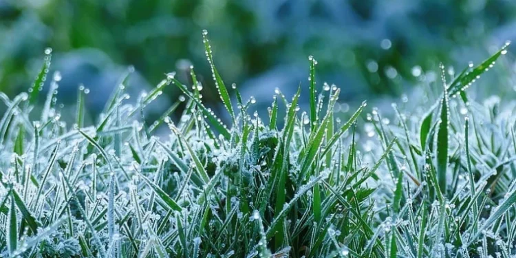 Cod Galben: Înghețuri prognozate între 27 și 29 septembrie