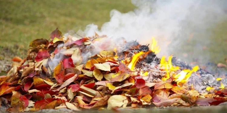 Arderea frunzelor: Ce sancțiuni prevede legislația