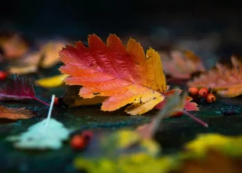 Vreme răcoroasă și ploi slabe izolate în Moldova