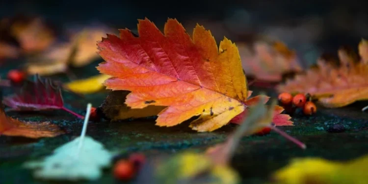 Vreme răcoroasă și ploi slabe izolate în Moldova