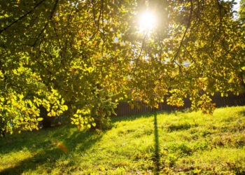 Прогноз погоды на 13 сентября