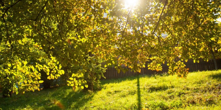 Прогноз погоды на 13 сентября