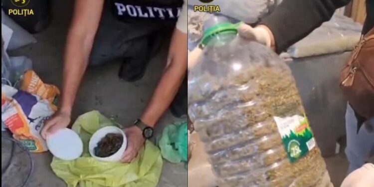 Descinderi la Cahul: Droguri de 200.000 lei și muniții, găsite la un bărbat