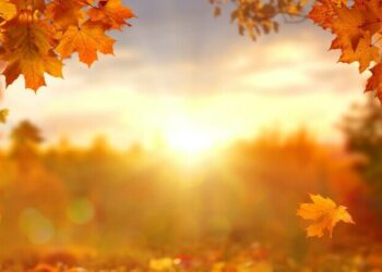 Zi senină și fără ploi în Moldova – temperaturi de până la 32°C