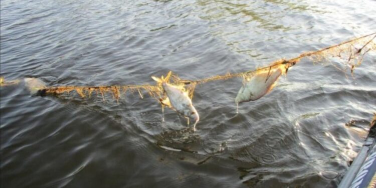 Tragedie pe Nistru: Bărbat de 77 de ani găsit înecat într-o plasă de pescuit