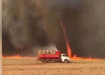 В Сан-Паулу сняли огненный торнадо на тростниковых плантациях
