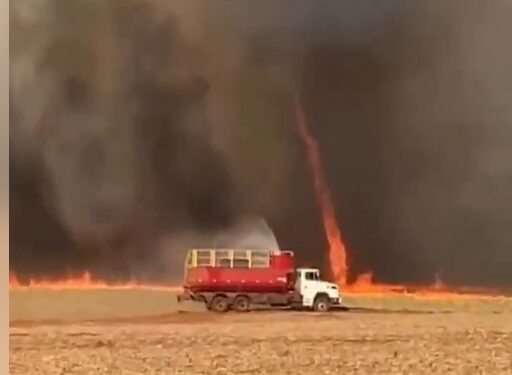 В Сан-Паулу сняли огненный торнадо на тростниковых плантациях