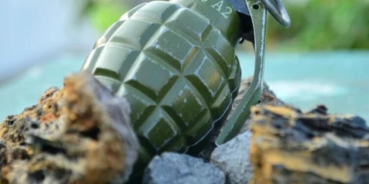 „Alertă de securitate”, la Chișinău. O grenadă F1 într-un „kuliok”, depistată în timpul vizitei Președintelui României, Nicușor Dan