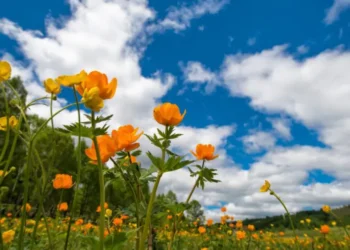 Vreme caldă și stabilă pe 2 septembrie: până la +33°C în Moldova