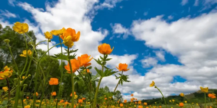 Vreme caldă și stabilă pe 2 septembrie: până la +33°C în Moldova