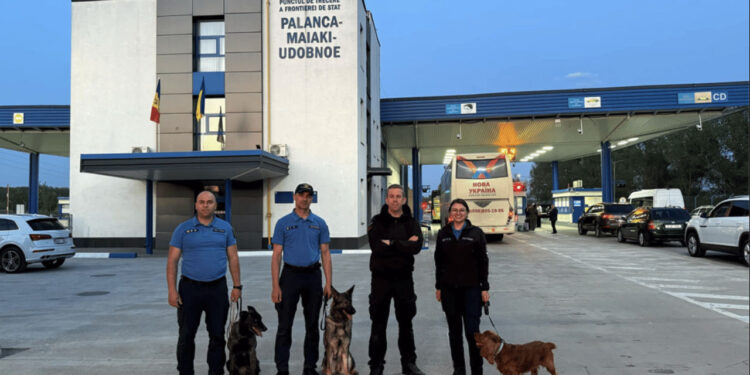 Moldova a modificat regulile de intrare pentru șoferii ucraineni