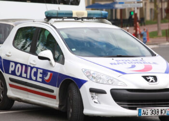 В Париже воры прятали в трусах драгоценности на €10 млн