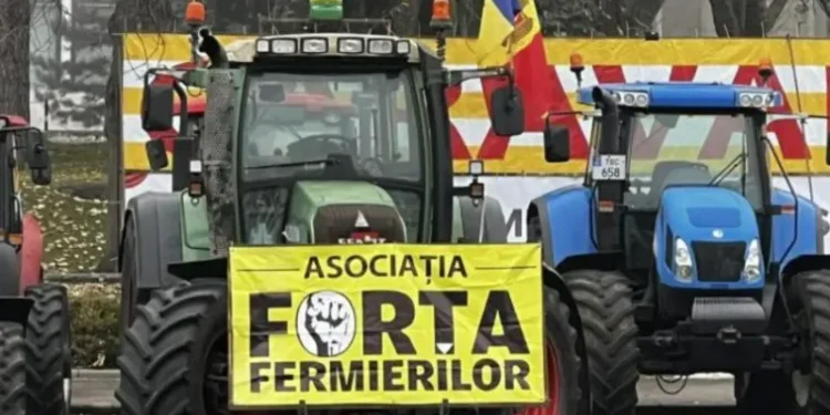 Vitrină pentru Europa, ruina pentru fermieri: De ce agricultorii își pierd încrederea în PAS