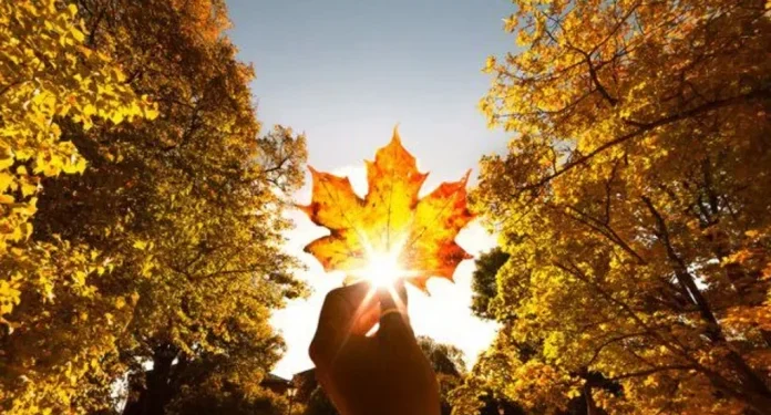 Prognoza meteo pentru astăzi în Republica Moldova