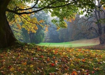 Prima zi de toamnă: vreme variabilă și posibile ploi de seară