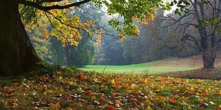 Prima zi de toamnă: vreme variabilă și posibile ploi de seară