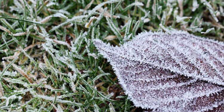 Înghețuri în weekend și vreme mai rece de joi