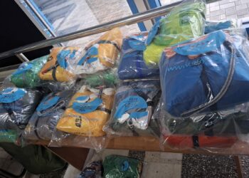 На КПП в Леушенах пресечена попытка незаконного ввоза товаров для парапланеризма стоимостью более 16 тысяч евро