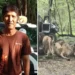 Scene de groază, la Safari World din Bangkok. Un îngrijitor a fost ucis de lei sub ochii turiștilor: „Au claxonat și au strigat după ajutor”