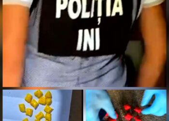 Rețea de droguri destructurată la Drochia și Soroca