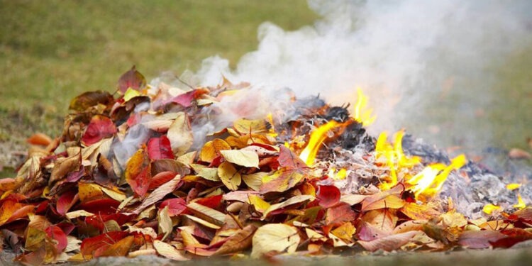 Житель Липкан оштрафован на 10 000 леев за сжигание листьев