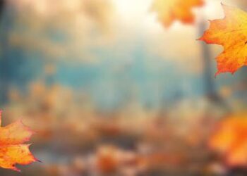 Погода в Молдове 2 октября: дождей почти нет, но тепло не спешит