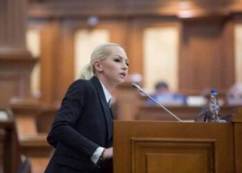 Марина Таубер: Новый созыв парламента начинает работу, но мы не признаем выборы
