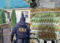 Более 102 тыс евро и 680 тыс леев изъяты НЦБК в деле о хищении и подделке документов в лесном хозяйстве Hîncești-Silva