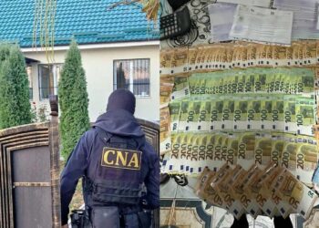 Более 102 тыс евро и 680 тыс леев изъяты НЦБК в деле о хищении и подделке документов в лесном хозяйстве Hîncești-Silva
