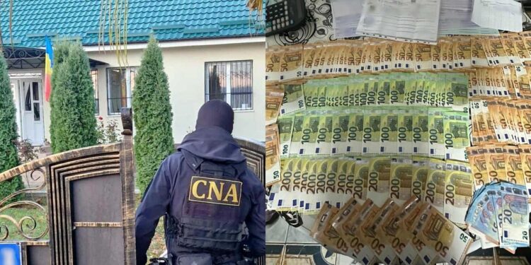 Более 102 тыс евро и 680 тыс леев изъяты НЦБК в деле о хищении и подделке документов в лесном хозяйстве Hîncești-Silva