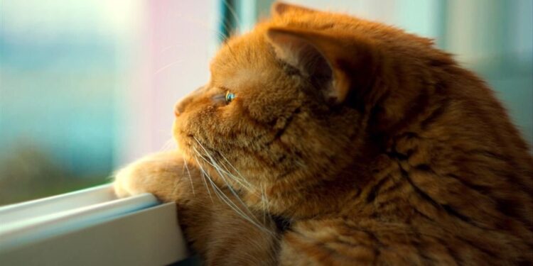 Теплый финал недели: До +20 °C и усиление ветра к вечеру