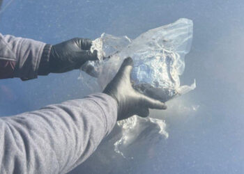 У супружеской пары из Бельц найдены наркотики на сумму около 1 200 000 леев