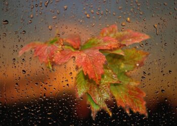 Ploi de scurtă durată și temperaturi potrivite pentru finalul lunii octombrie