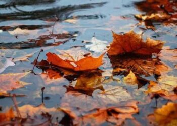 Дождь вернётся к вечеру: прогноз погоды на 3 октября