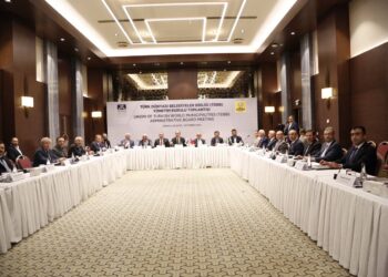 Виктор Петров представил Гагаузию на заседании авторитетной международной организации в Турции