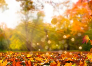 Синоптики рассказали, какой будет погода на эти выходные