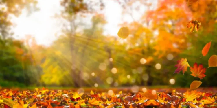 Синоптики рассказали, какой будет погода на эти выходные