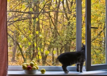 Включат ли отопление в октябре? Узнайте, какой будет погода в этом месяце