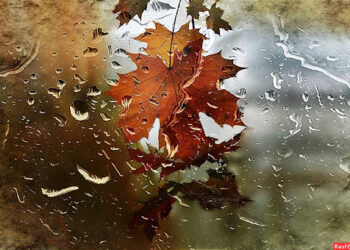 Погода 7 октября в Молдове: затяжные дожди и прохладно