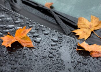 Дожди не отступают: погода в Молдове на 8 октября