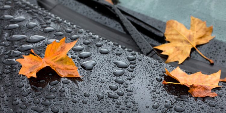 Дожди не отступают: погода в Молдове на 8 октября