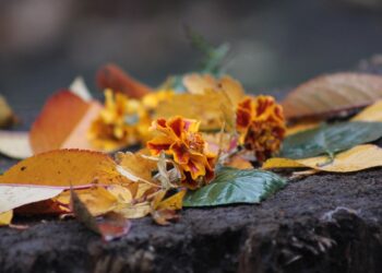 Погода в Молдове на 9 октября: меньше дождей, больше прохлады