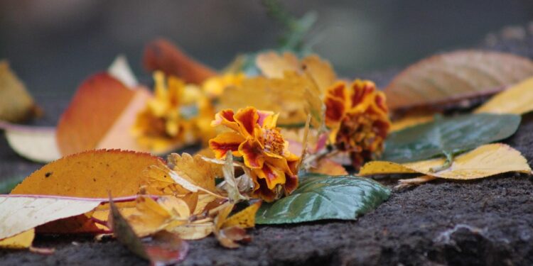 Погода в Молдове на 9 октября: меньше дождей, больше прохлады